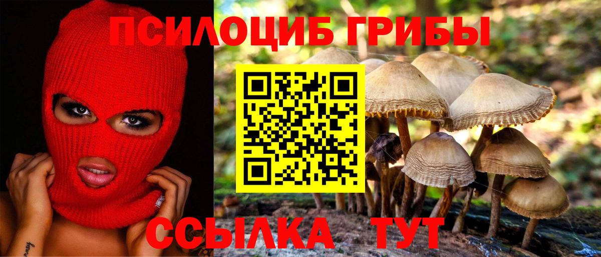 Галлюциногенные грибы Magic Shrooms Новый Уренгой