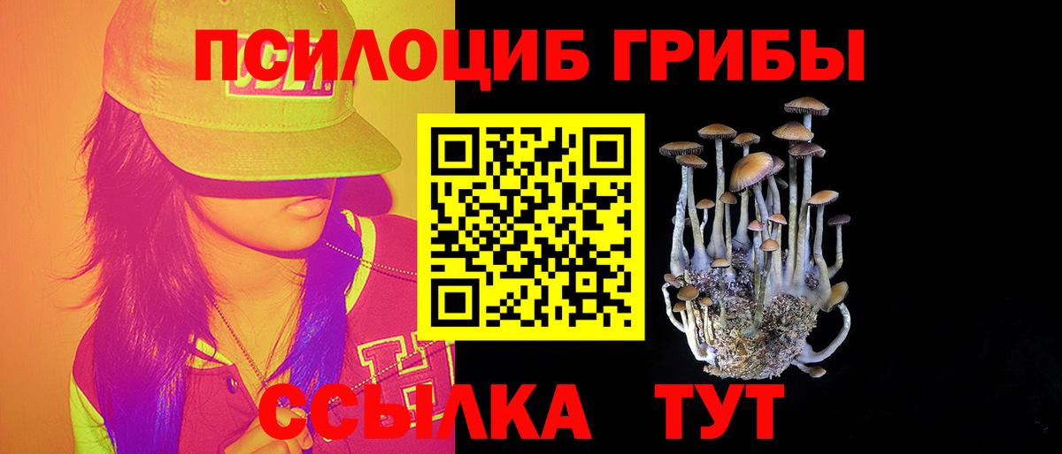 Новый Уренгой  Псилоцибиновые грибы прущие грибы  Вход с VPN 